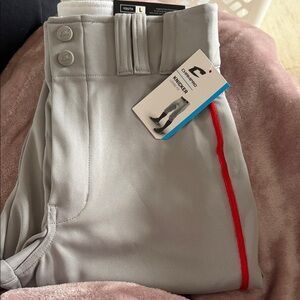 Champro Youth Baseball Pants in Gray